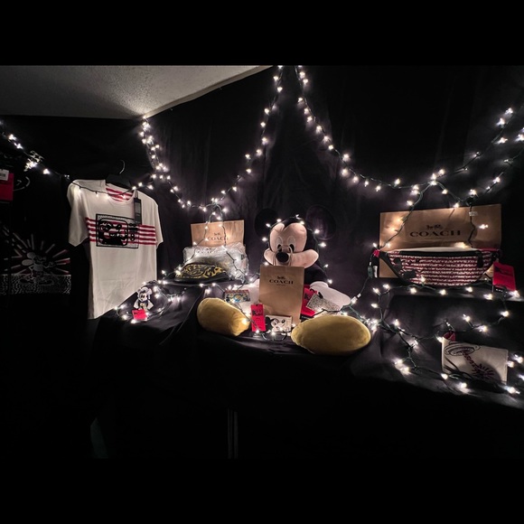 Coach Keith Haring Mickey collection! - Picture 11 of 12